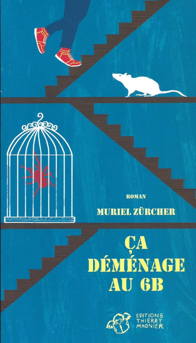 roman adolescent, araignée, NAC, Muriel Zürcher, éditions Thierry Magnier